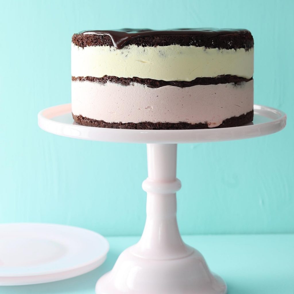 Mango Chocolate Sandwich Ice Cream Cake Passion For Baking Get Inspired,Sage Plant Care
